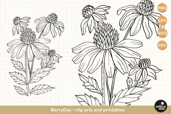 Download Coneflower Summer Flower Clip Art - Summer Collection