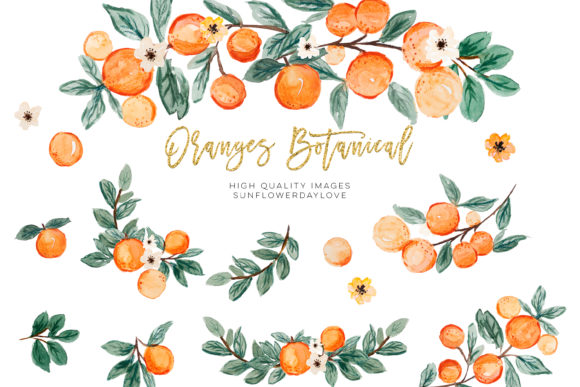 Download Orange Summer Clipart, Citrus Clipart - Summer Collection